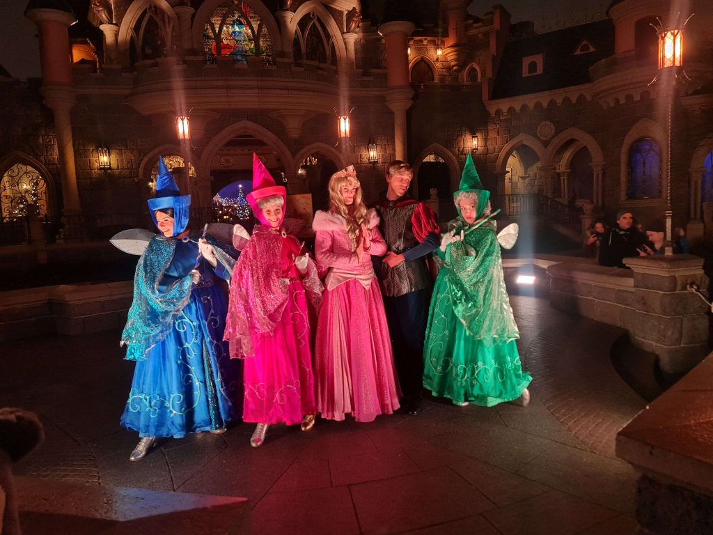 Aurore, Philippe, Flora, Pimprenelle et Pâquerette.