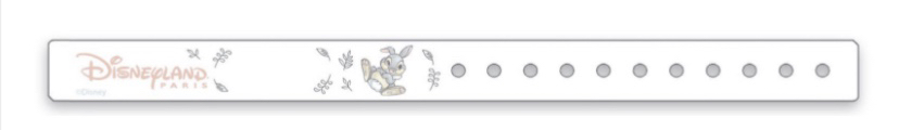 Image du bracelet pour les femmes enceintes à Disneyland Paris.
