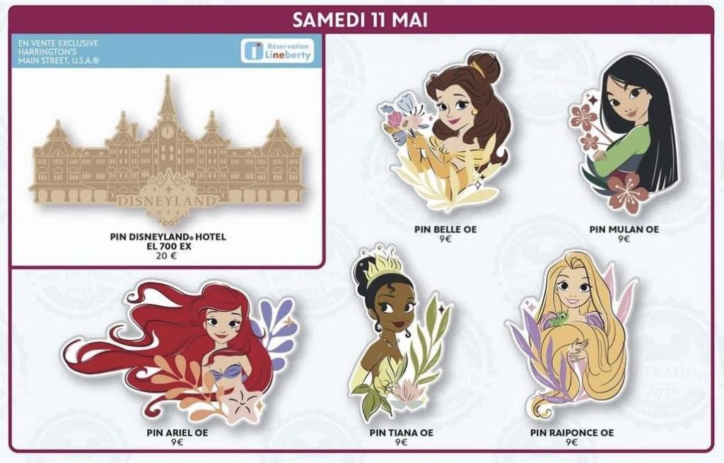 Pins Disneyland Hotel et Princesses Disney