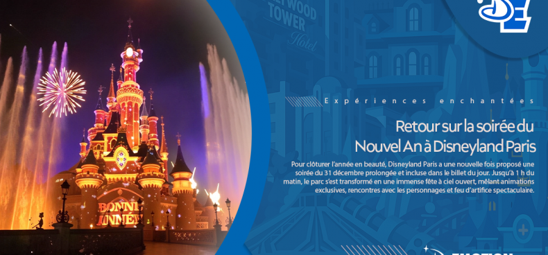 nouvel an : le feu d'artifice