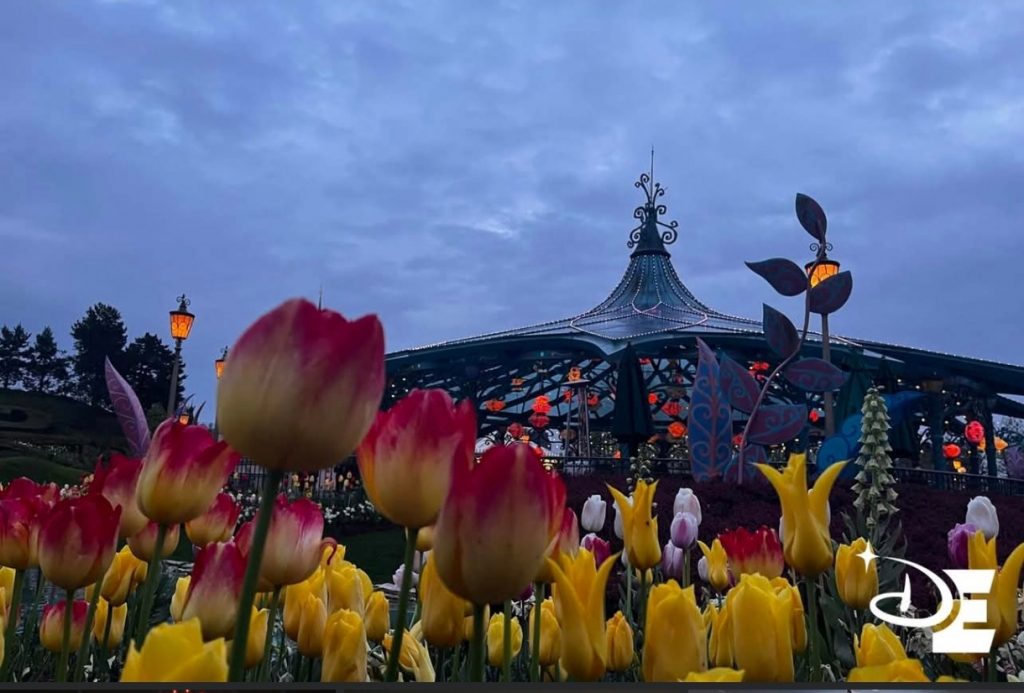 L'attraction Mad Hatter's Tea Cups