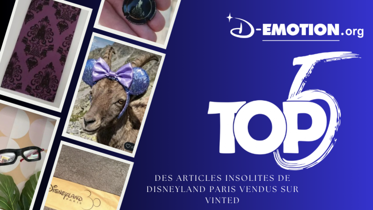 Top 5 des articles insolites Disneyland Paris vendus sur Vinted – V.1
